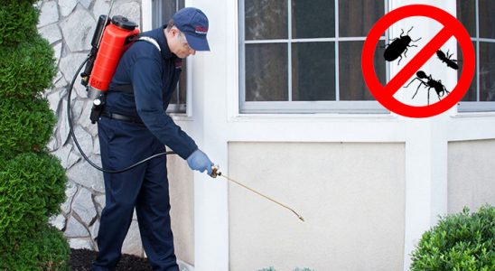 Didim Dezenfeksiyon böcek ilaçlama ve haşere kontrolü — ilaclama-tr.com